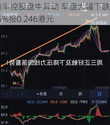 誉燊丰控股盘中异动 早盘大幅下跌5.75%报0.246港元