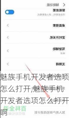 魅族手机开发者选项怎么打开,魅族手机开发者选项怎么打开啊