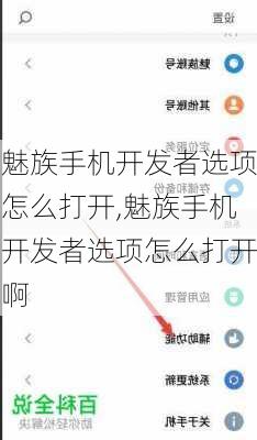 魅族手机开发者选项怎么打开,魅族手机开发者选项怎么打开啊