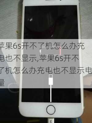 苹果6s开不了机怎么办充电也不显示,苹果6s开不了机怎么办充电也不显示电量