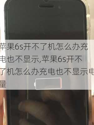 苹果6s开不了机怎么办充电也不显示,苹果6s开不了机怎么办充电也不显示电量