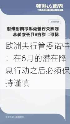 欧洲央行管委诺特：在6月的潜在降息行动之后必须保持谨慎