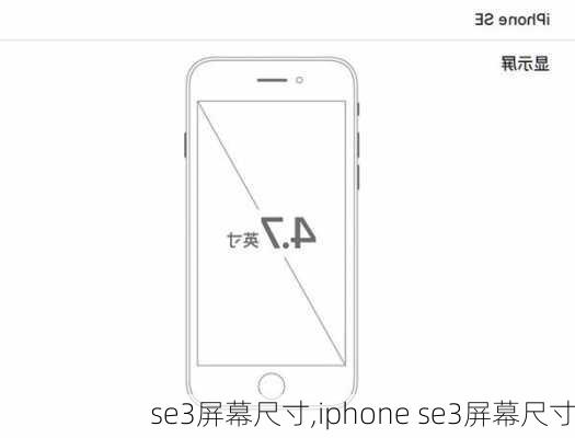 se3屏幕尺寸,iphone se3屏幕尺寸