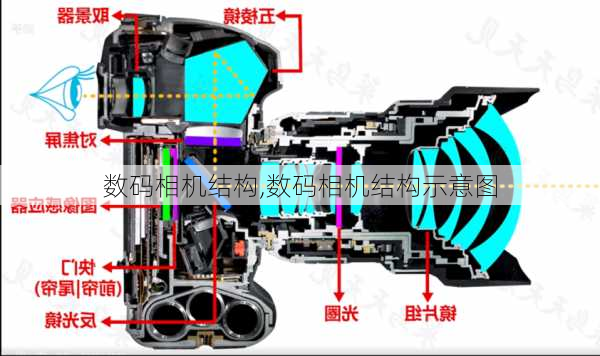 数码相机结构,数码相机结构示意图