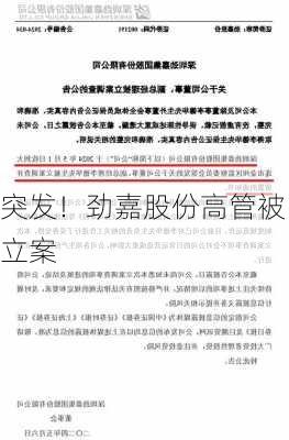 突发！劲嘉股份高管被立案