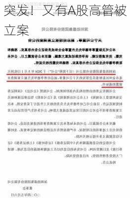 突发！又有A股高管被立案