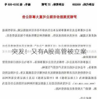 突发！又有A股高管被立案