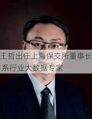 王哲出任上海保交所董事长 系行业大数据专家