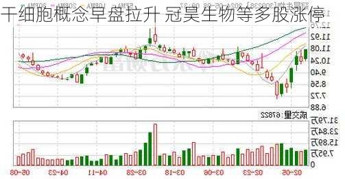 干细胞概念早盘拉升 冠昊生物等多股涨停