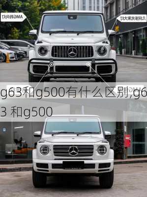 g63和g500有什么区别,g63 和g500