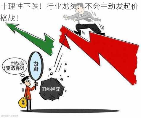 非理性下跌！行业龙头：不会主动发起价格战！