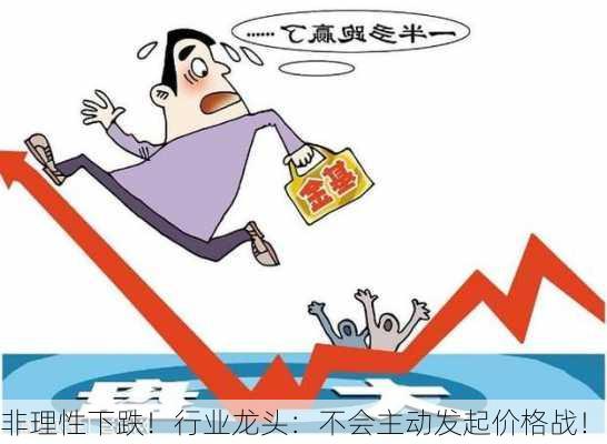 非理性下跌！行业龙头：不会主动发起价格战！