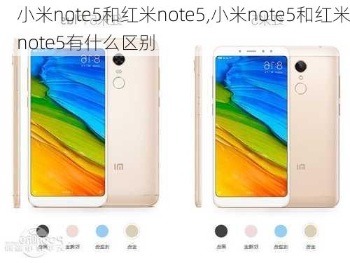 小米note5和红米note5,小米note5和红米note5有什么区别