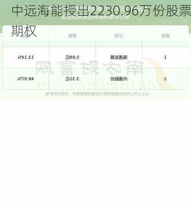 中远海能授出2230.96万份股票期权