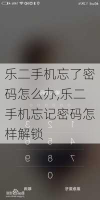 乐二手机忘了密码怎么办,乐二手机忘记密码怎样解锁