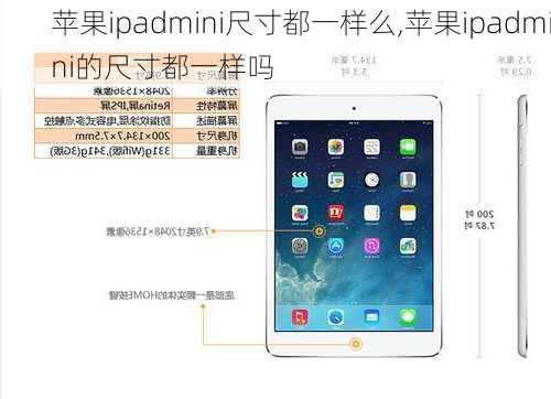 苹果ipadmini尺寸都一样么,苹果ipadmini的尺寸都一样吗