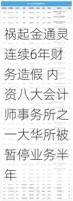 祸起金通灵连续6年财务造假 内资八大会计师事务所之一大华所被暂停业务半年