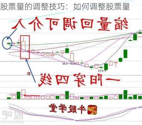 股票量的调整技巧：如何调整股票量