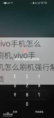 vivo手机怎么刷机,vivo手机怎么刷机强行解锁