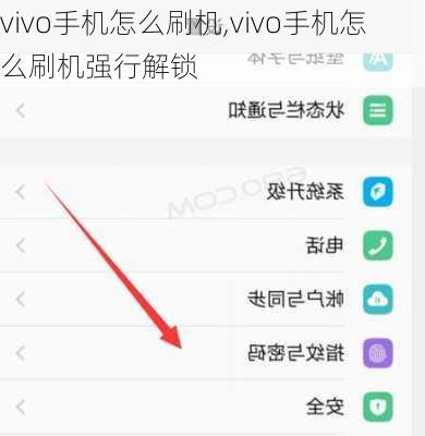 vivo手机怎么刷机,vivo手机怎么刷机强行解锁