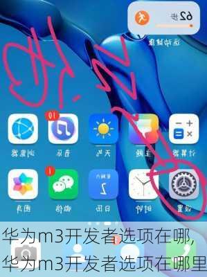 华为m3开发者选项在哪,华为m3开发者选项在哪里
