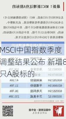 MSCI中国指数季度调整结果公布 新增8只A股标的