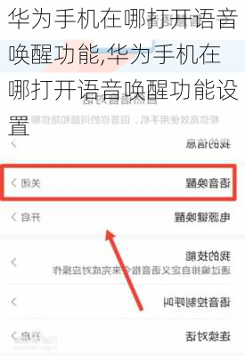 华为手机在哪打开语音唤醒功能,华为手机在哪打开语音唤醒功能设置