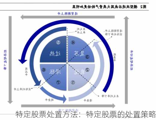 特定股票处置方法：特定股票的处置策略