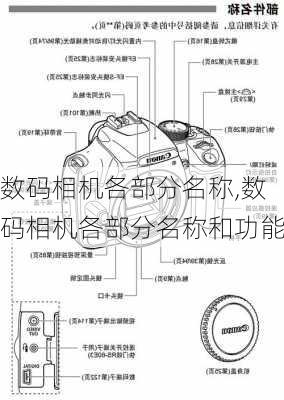 数码相机各部分名称,数码相机各部分名称和功能