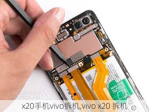 x20手机vivo拆机,vivo x20 拆机