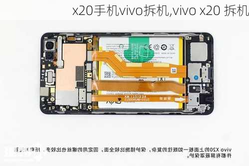 x20手机vivo拆机,vivo x20 拆机