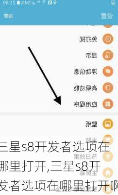 三星s8开发者选项在哪里打开,三星s8开发者选项在哪里打开啊