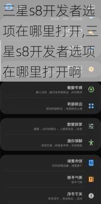 三星s8开发者选项在哪里打开,三星s8开发者选项在哪里打开啊