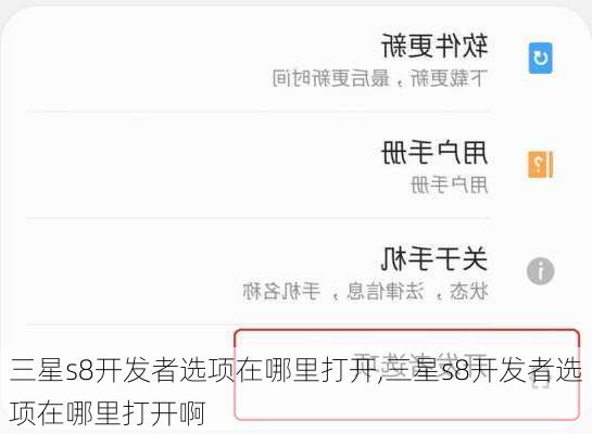 三星s8开发者选项在哪里打开,三星s8开发者选项在哪里打开啊