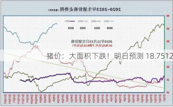 猪价：大面积下跌！明日预测 18.7512