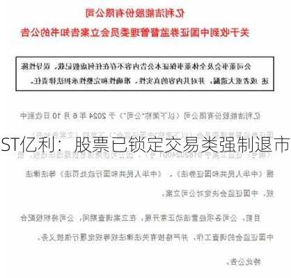 ST亿利：股票已锁定交易类强制退市