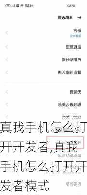 真我手机怎么打开开发者,真我手机怎么打开开发者模式