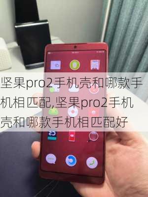 坚果pro2手机壳和哪款手机相匹配,坚果pro2手机壳和哪款手机相匹配好