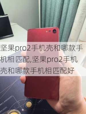 坚果pro2手机壳和哪款手机相匹配,坚果pro2手机壳和哪款手机相匹配好