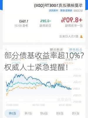 部分债基收益率超10%？权威人士紧急提醒！