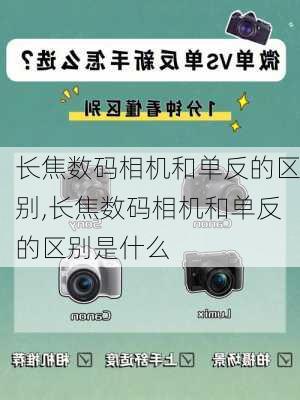 长焦数码相机和单反的区别,长焦数码相机和单反的区别是什么