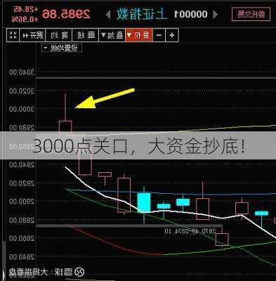 3000点关口，大资金抄底！