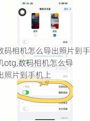 数码相机怎么导出照片到手机otg,数码相机怎么导出照片到手机上