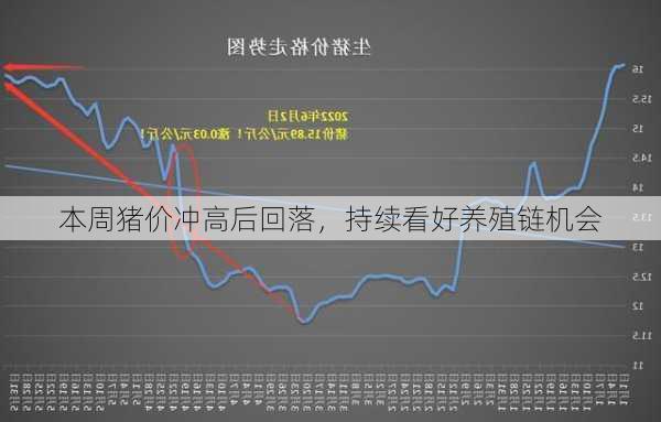 本周猪价冲高后回落，持续看好养殖链机会