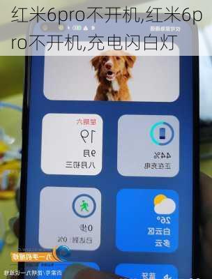 红米6pro不开机,红米6pro不开机,充电闪白灯