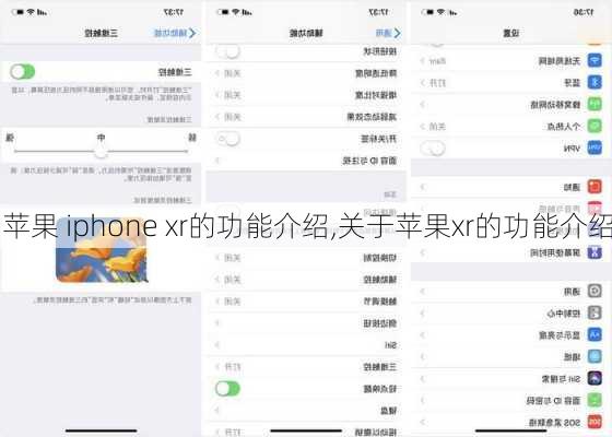 苹果 iphone xr的功能介绍,关于苹果xr的功能介绍