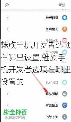 魅族手机开发者选项在哪里设置,魅族手机开发者选项在哪里设置的