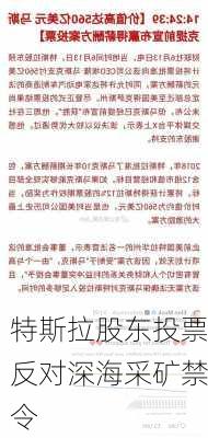 特斯拉股东投票反对深海采矿禁令