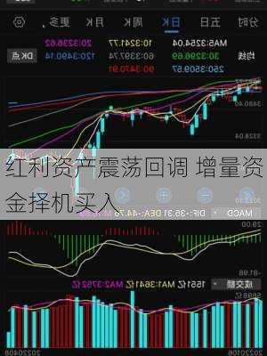 红利资产震荡回调 增量资金择机买入