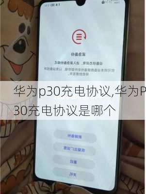 华为p30充电协议,华为P30充电协议是哪个